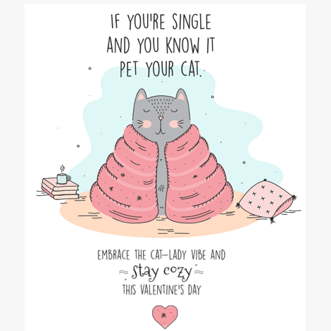 Valentine for Single Cat Lover